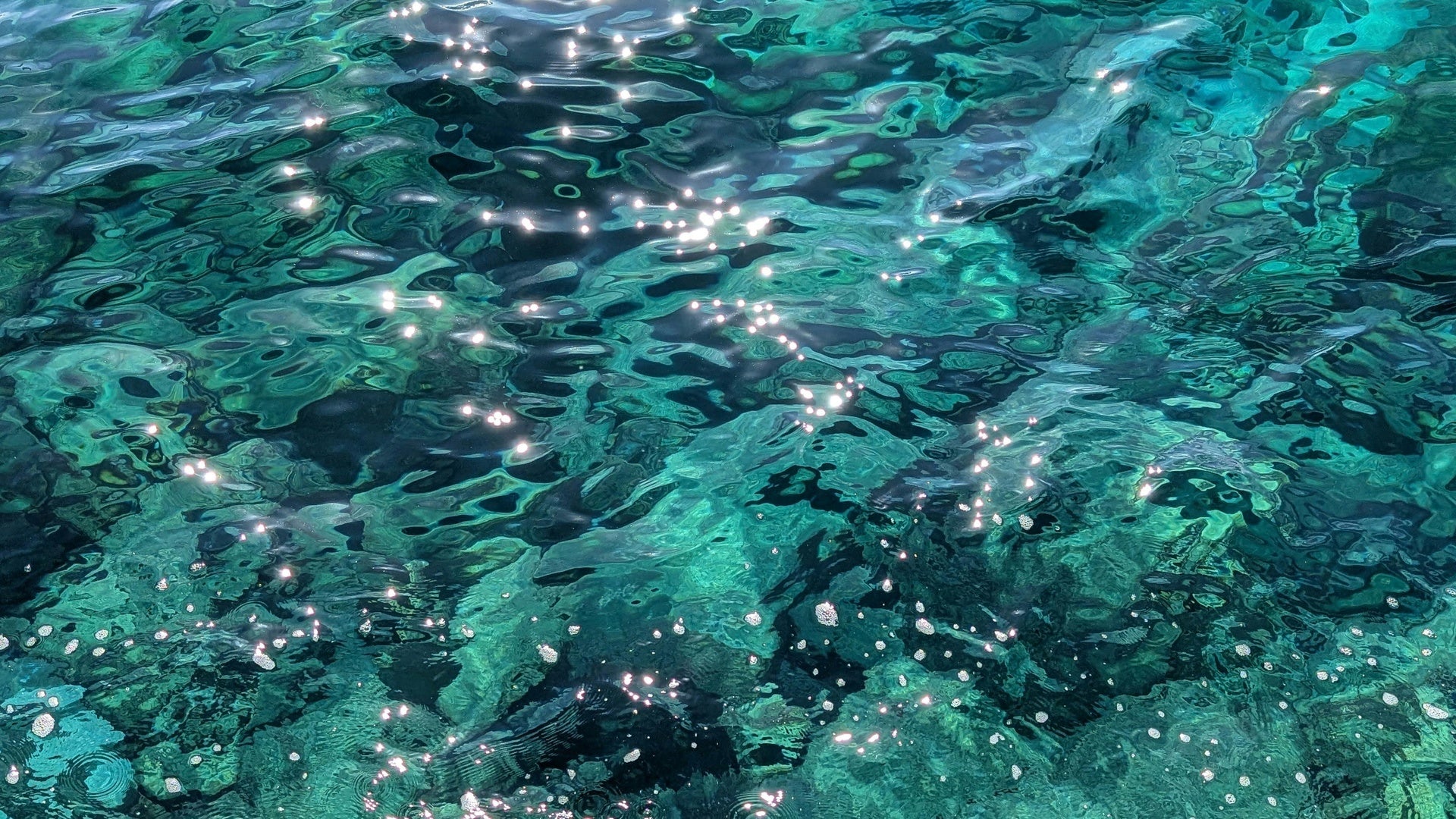 Ocean lifestyle